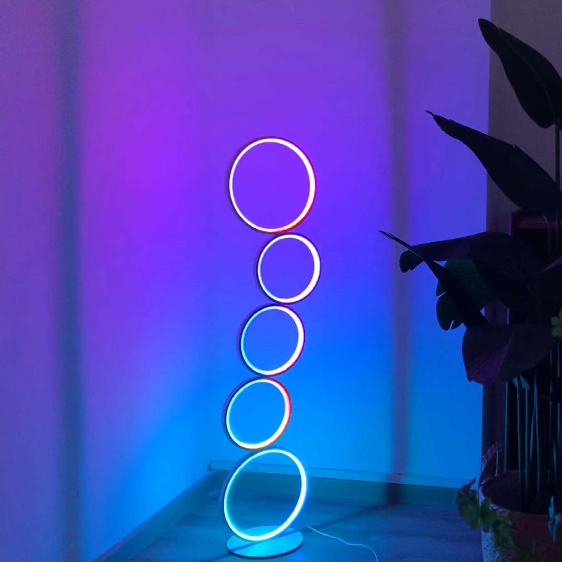 Corner space featuring an RGB circular floor lamp with five glowing rings, casting colorful light on the wall near indoor plants