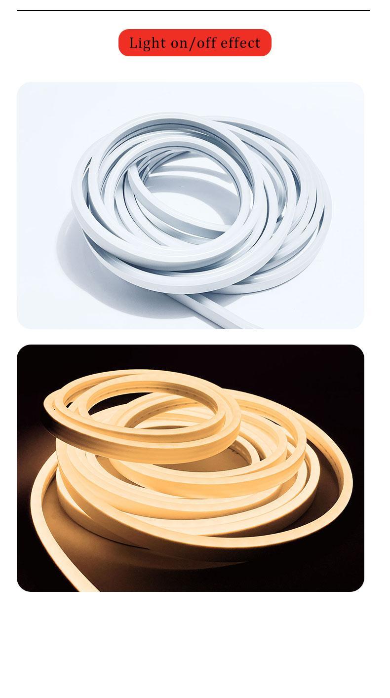 Flexible Rope LED light strip fixture