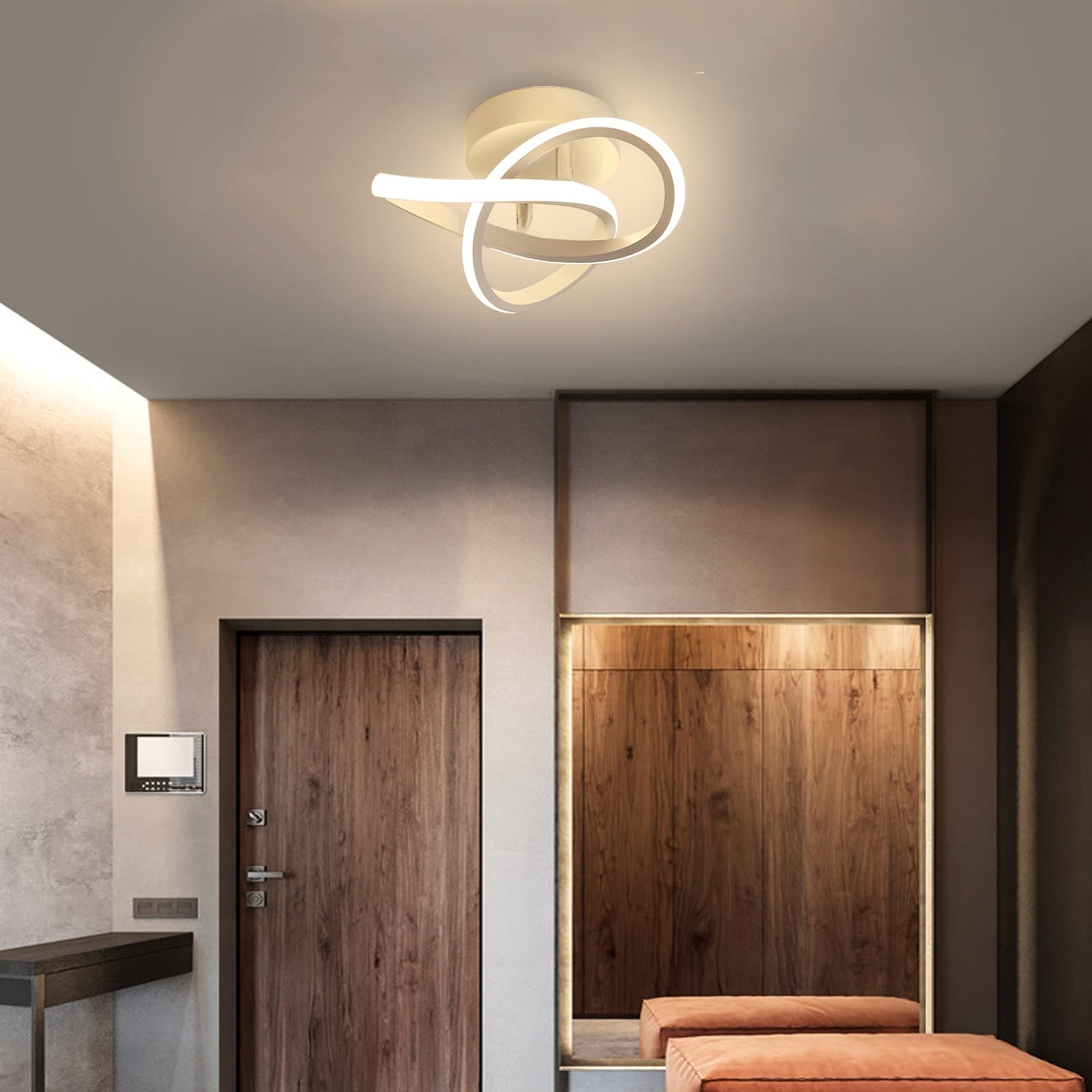 Modern LED Decorative acrylic light fixtures