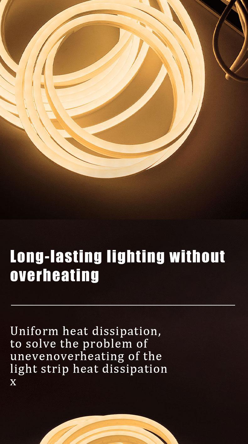 Flexible Rope LED light strip fixture