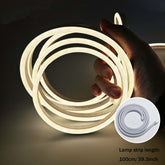 LED Ambient Neon Strip Lights