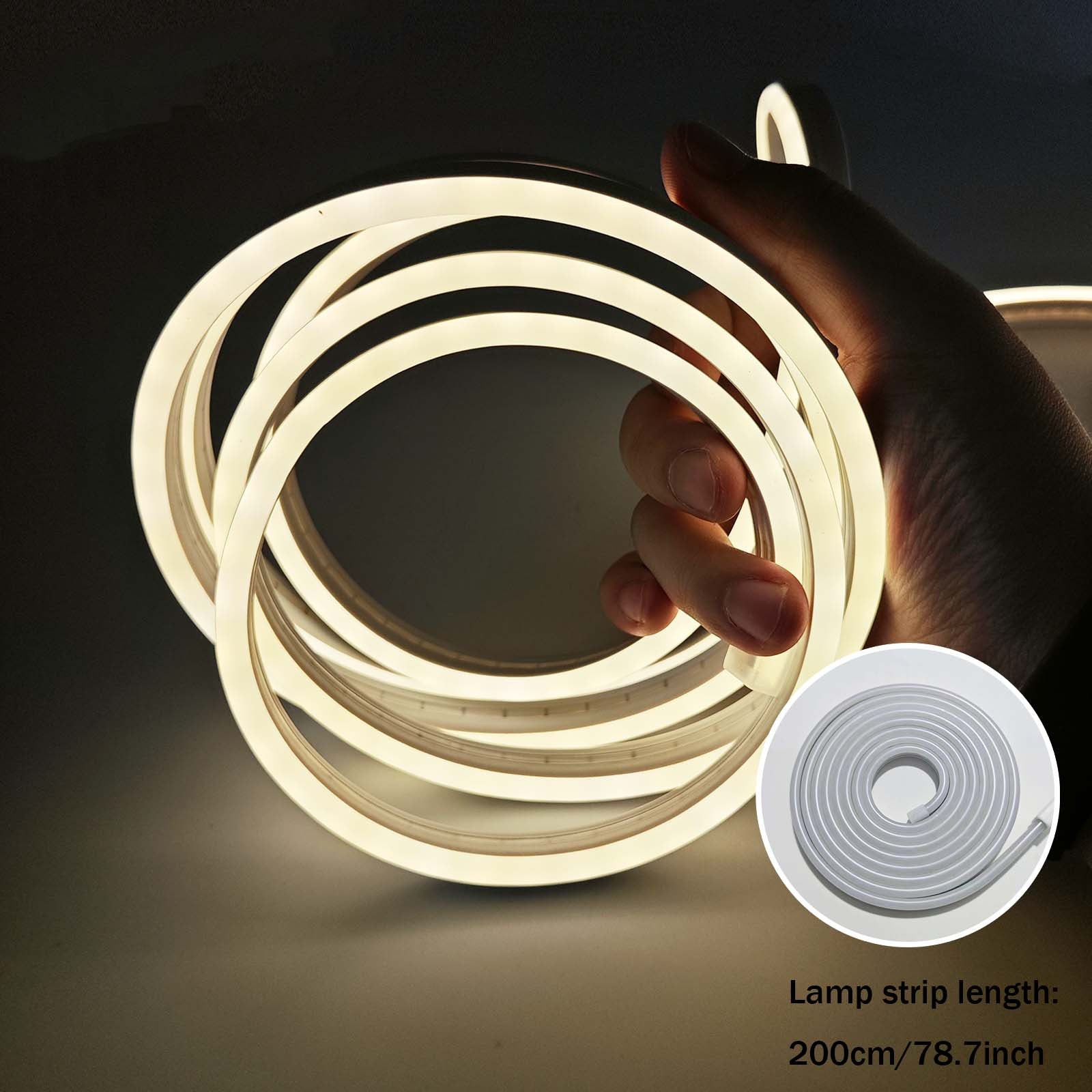 LED Ambient Neon Strip Lights
