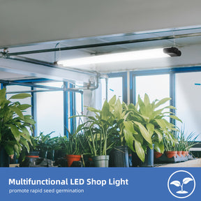 Modern hanging LED light fixtures