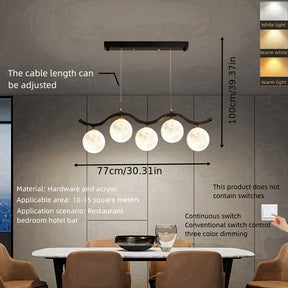 Glass Globe LED Pendant Light Fixtures