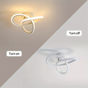 Modern LED Decorative acrylic light fixtures