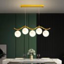 Glass Globe LED Pendant Light Fixtures